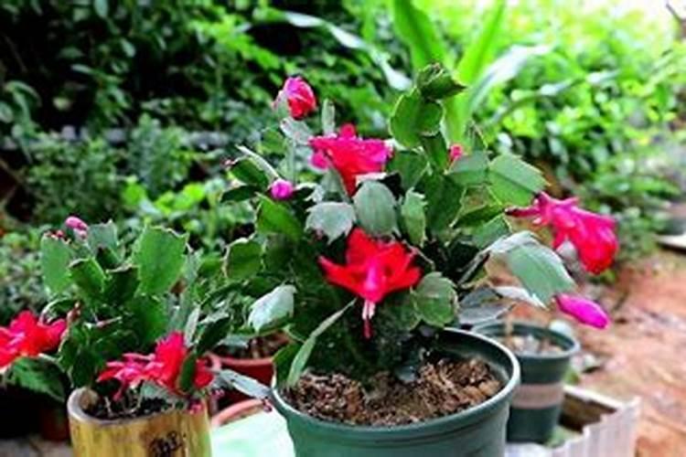 青岛根源生物集团集团及分公司地址