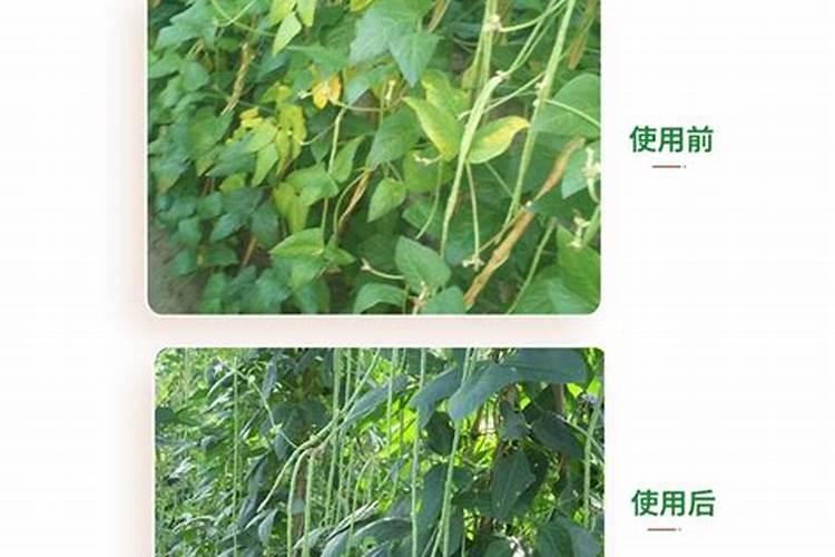 有机肥的公司有哪些