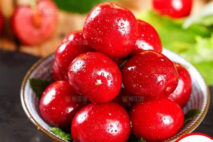 大樱桃专用肥哪个好？该如何使用？