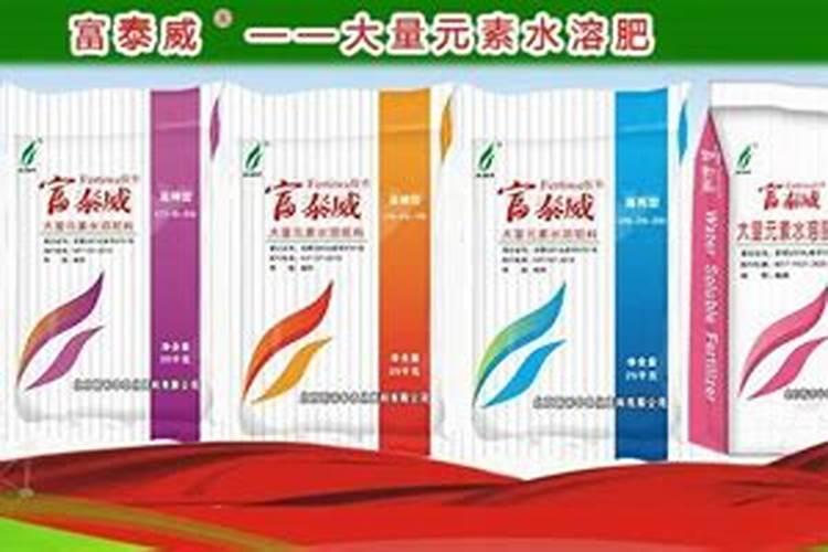 春天怎样让多肉爆盆