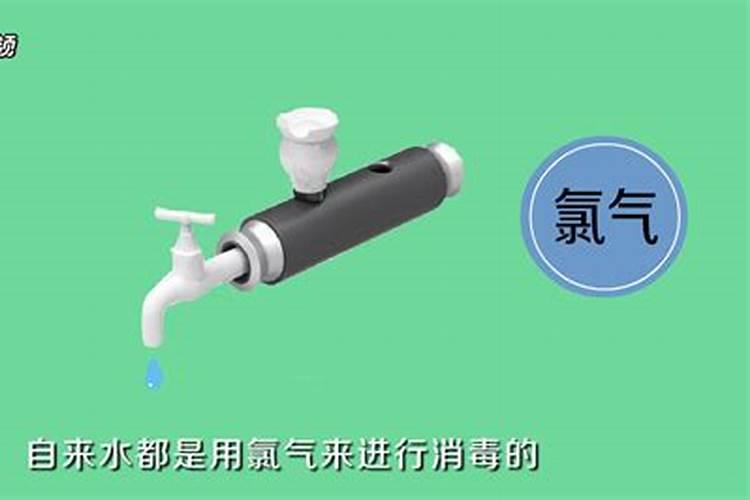 万年青施什么肥最好