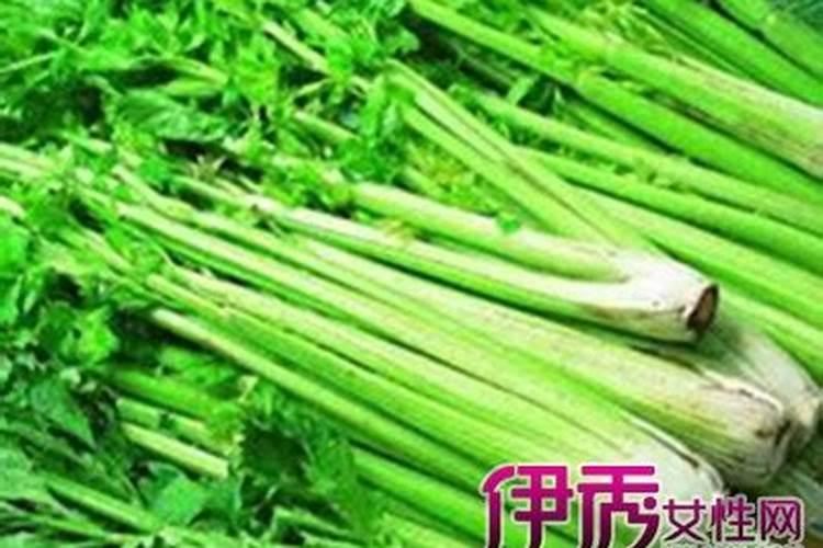 大蒜出苗多久可以施肥