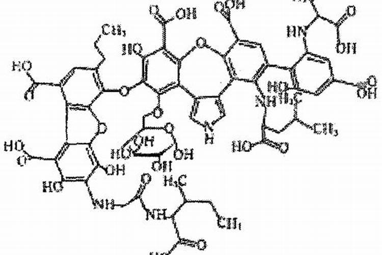 桃树追肥最佳时间追什么肥料