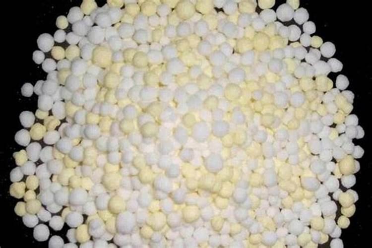 绣球花在花期可以施肥吗？