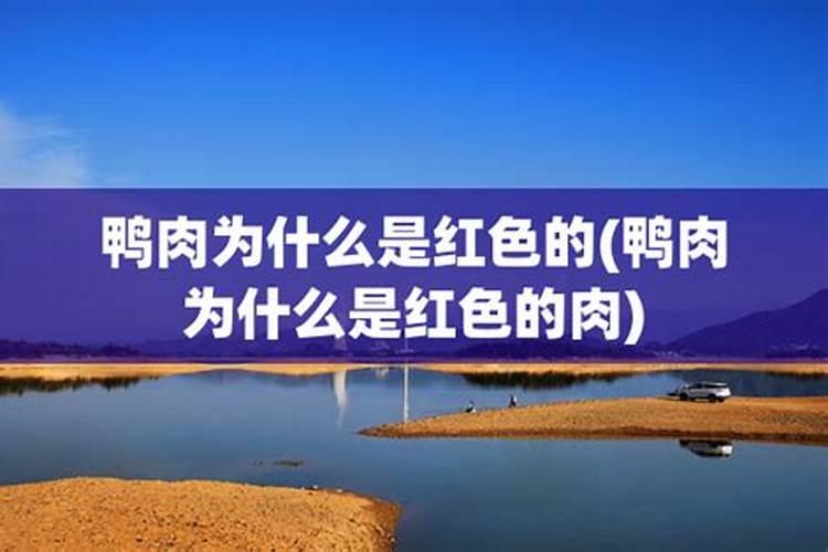 罗汉果怎么防虫