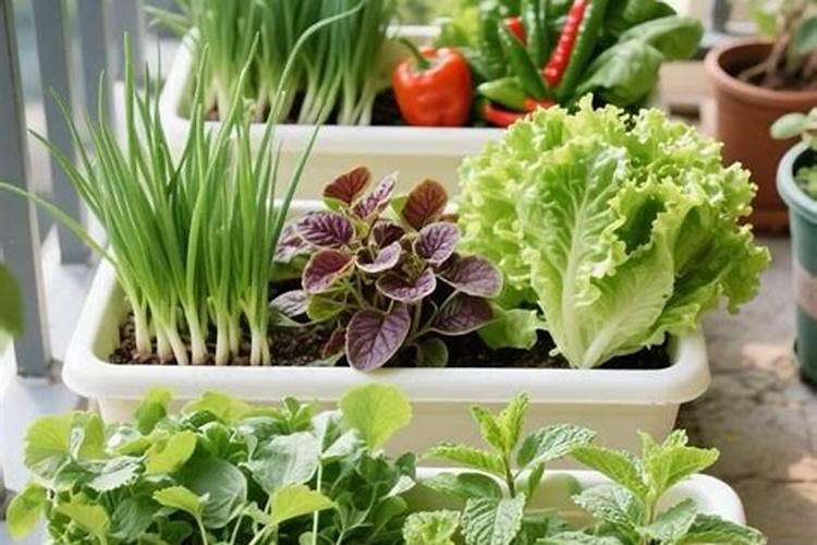 消灭瓜蒌根的办法