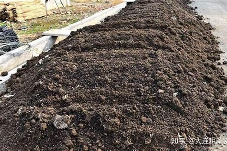 农家肥该如何使用？农家肥品种都有哪些？学到知识才能更好种植