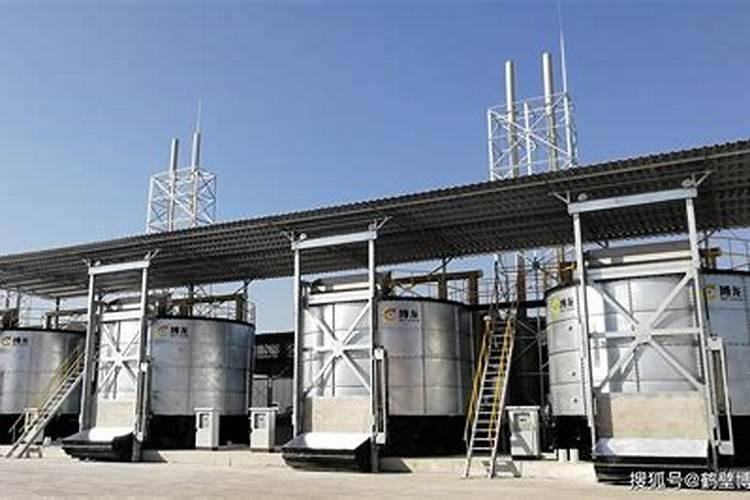 大虾制作水溶肥的方法