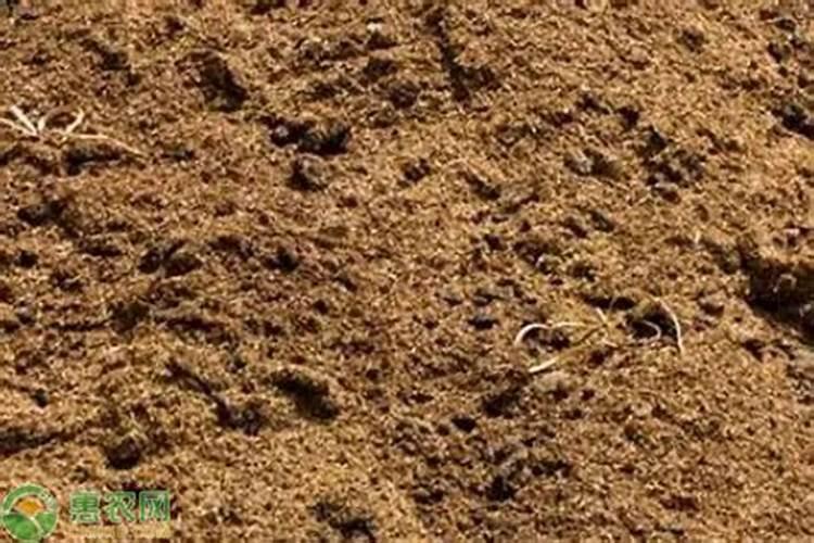 油枯不发酵可以直接当肥料吗