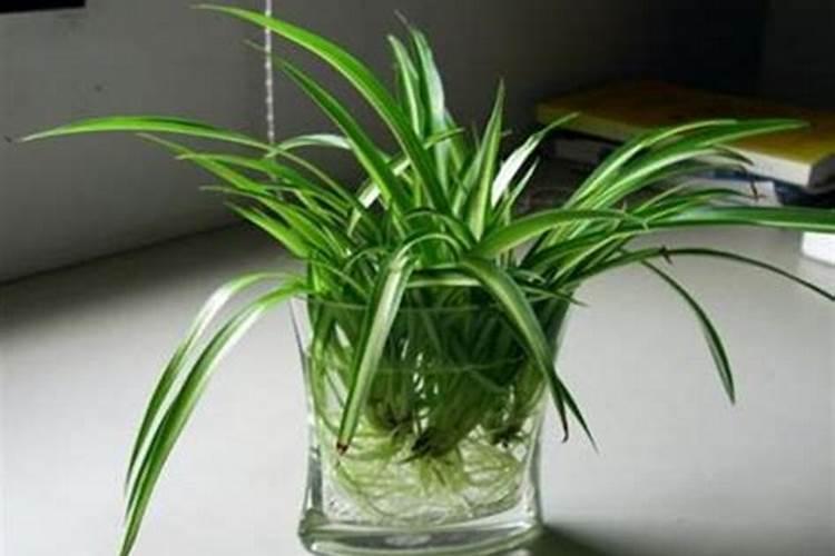 种花生怎样施底肥？