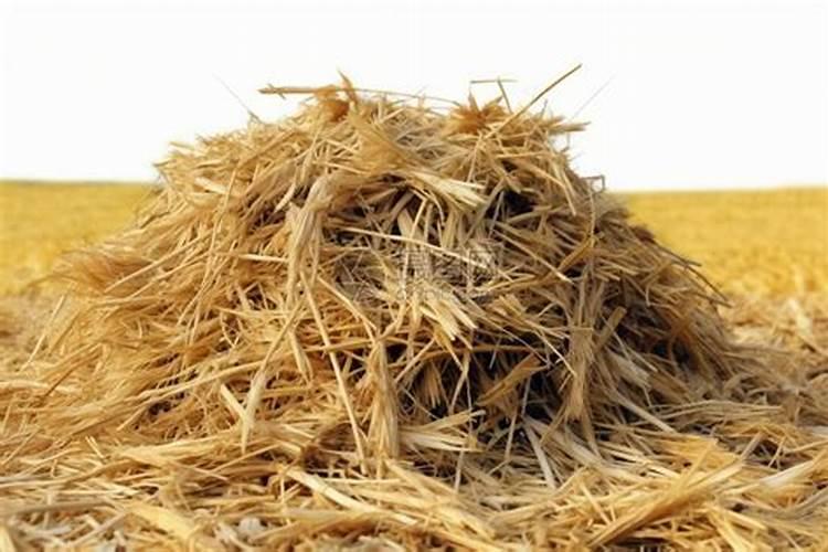 如何利用废弃物节约资源