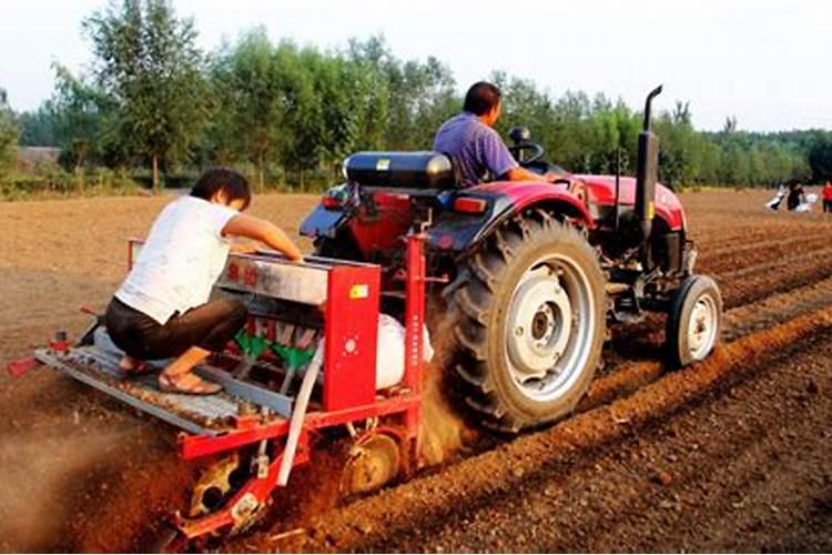 种黄豆能撒硼肥吗