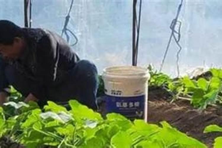 今天看到盐湖集团退市了,从没见过这些事,盐湖集团退市了,你们买的股...