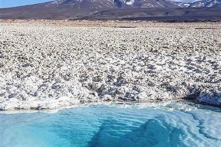 移植后的玫瑰老桩发芽了,可以去膜,和施肥吗？