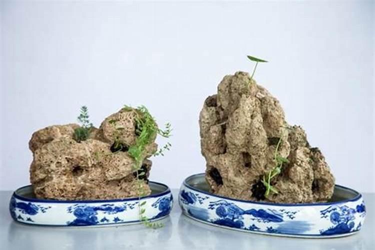 鱼蛋白和防冻剂能一起喷吗石榴树？