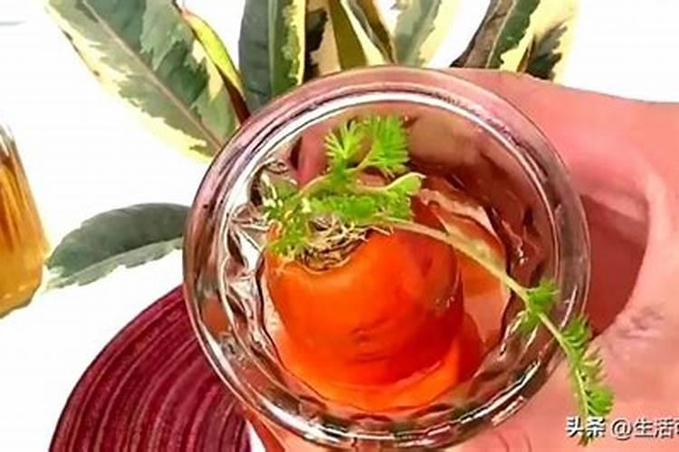 米兰施什么肥料最好呢