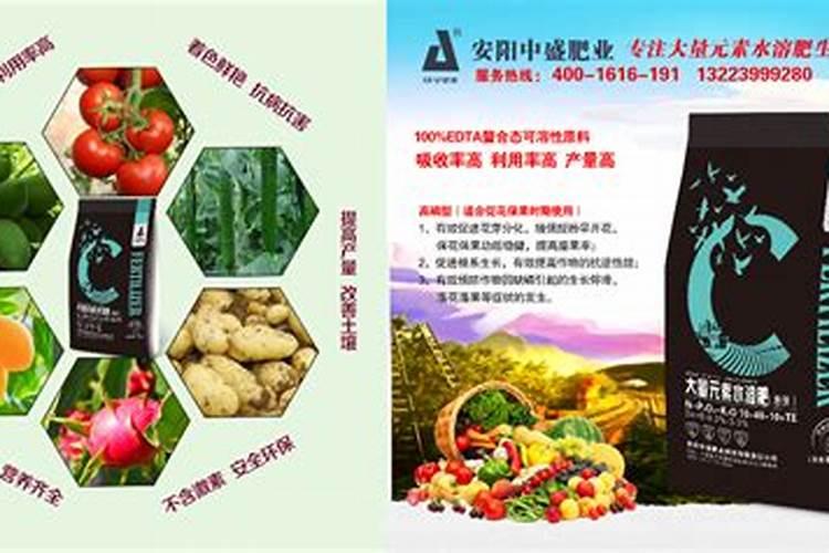 荔枝专用叶面肥什么好