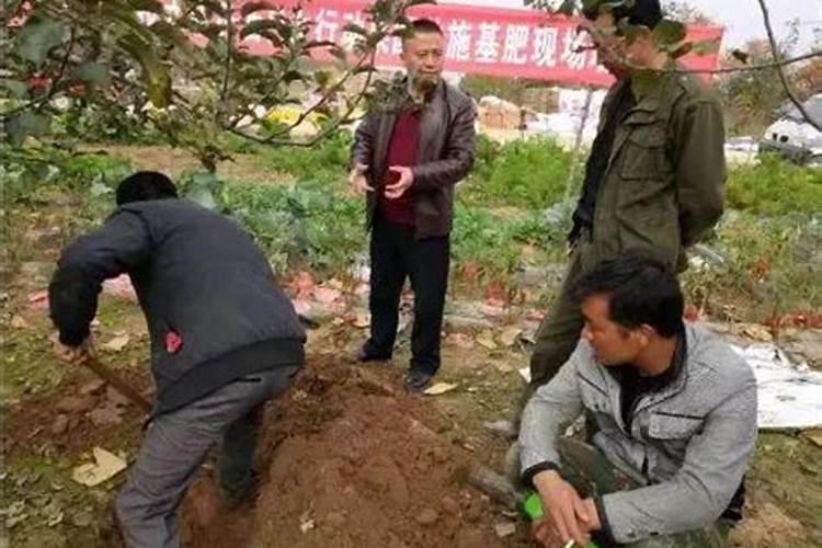 多肉植物一次浇多少水 一般什么时候浇水最好