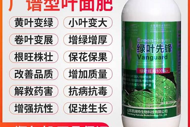 月季僵苗了怎么办