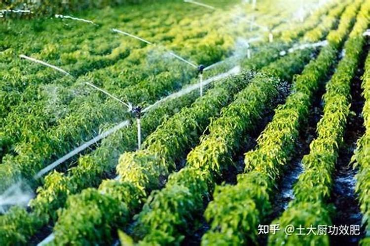 蚯蚓土的使用方法