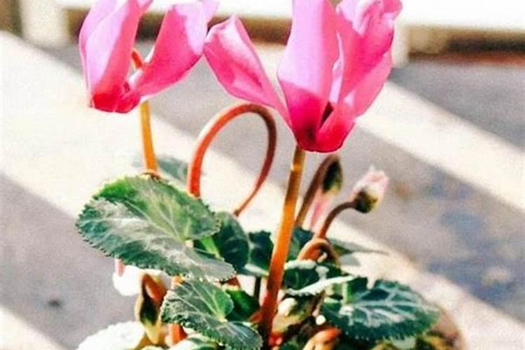 牡丹江土特产批发市场有哪些特产