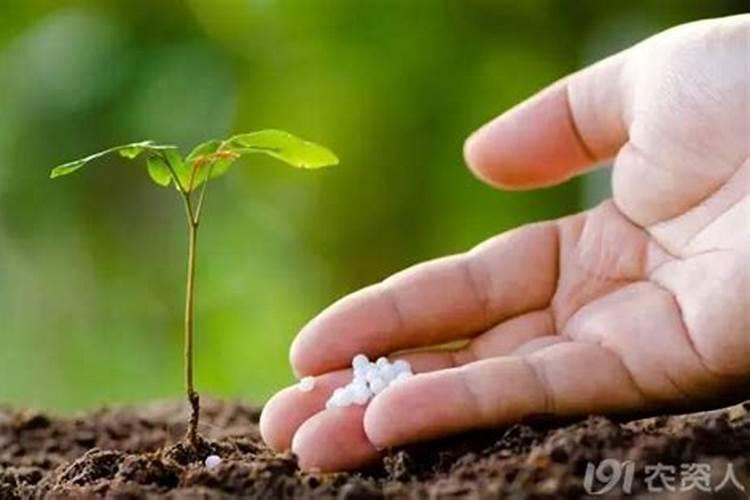 什么是有机肥？缓控施肥是什么意思？