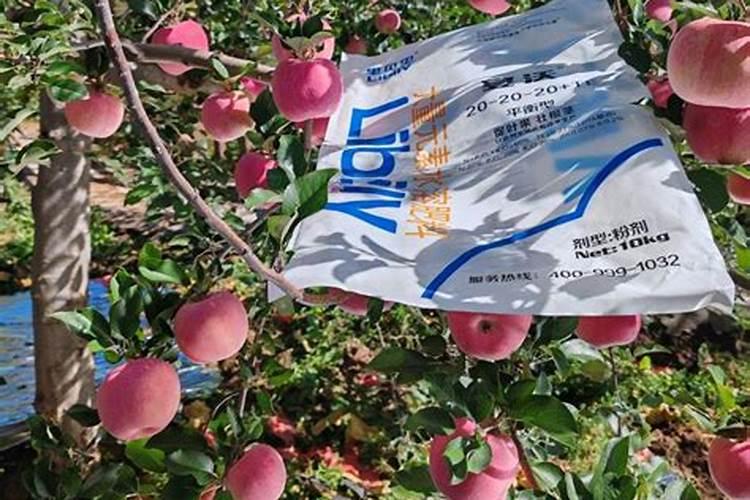 苹果用什么水溶肥好