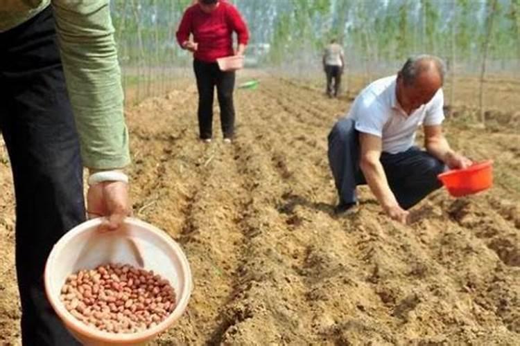 扭矩wp是什么意思？