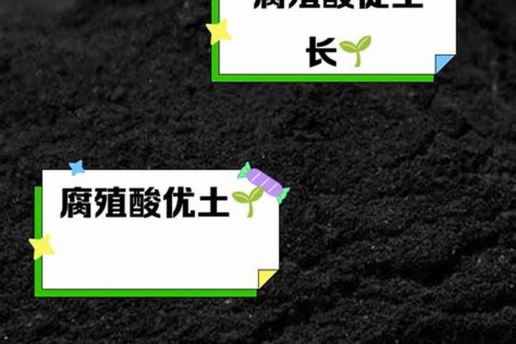 腐植酸对农作物有哪些作用