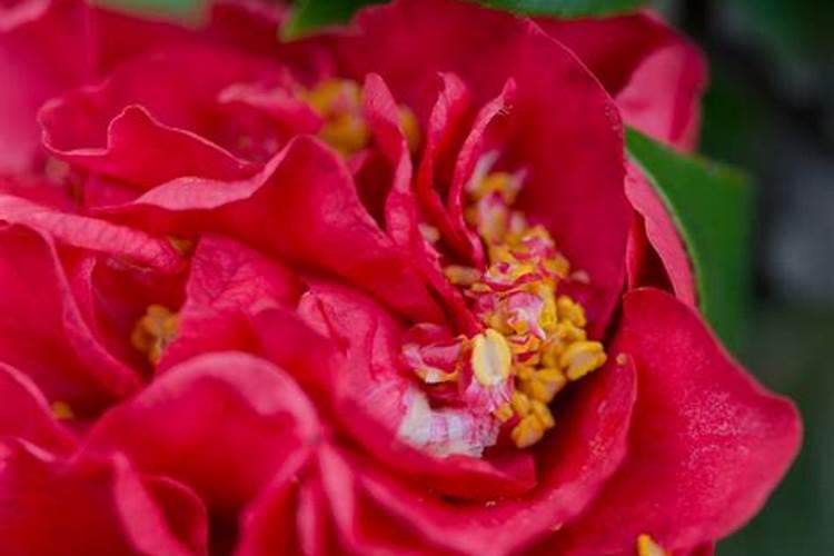 硅酮是什么？有什么用处？