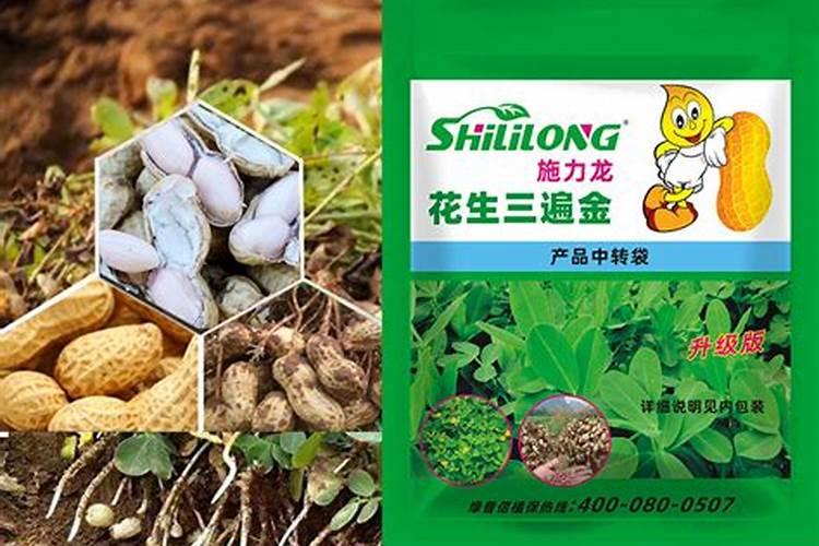 花生用什么叶面肥好 花生施肥注意事项