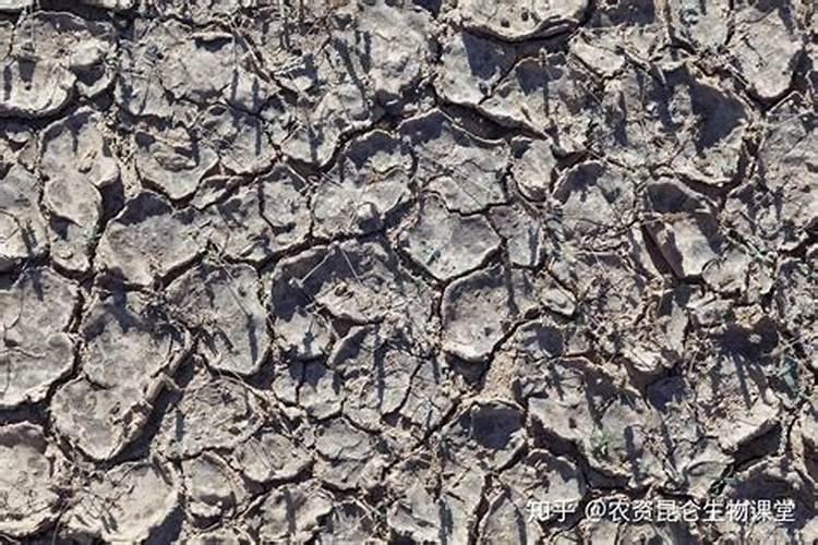 合成氮肥属于有机肥料吗