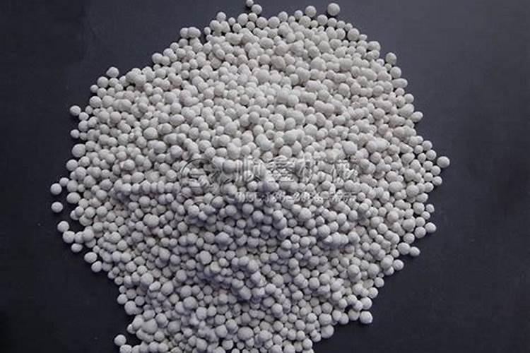 茶花可以施复合肥吗 施肥技巧有哪些