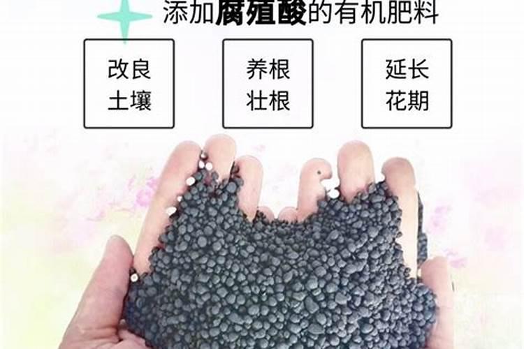 拿什么浇花叶子比较绿 这几种常见的肥料最好用