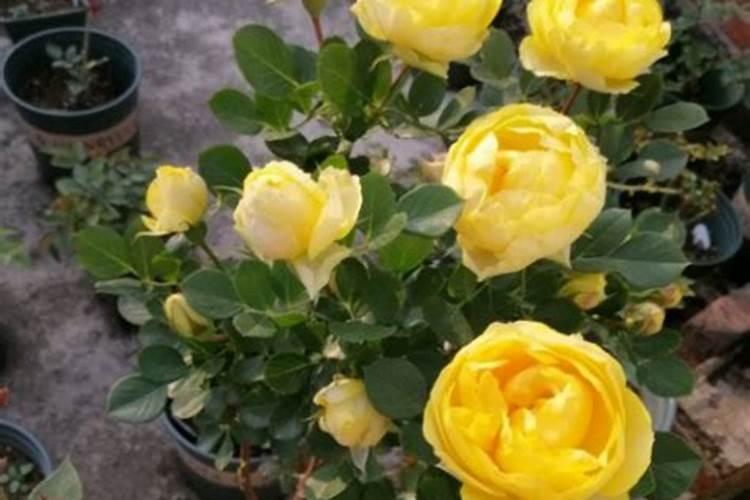 祁家湾是不是很好玩啊？