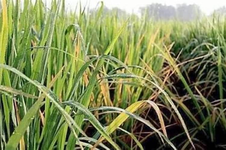 广州有什么游戏公司