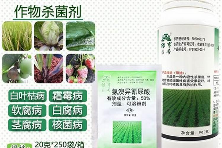 桃子软腐病的特效药是什么