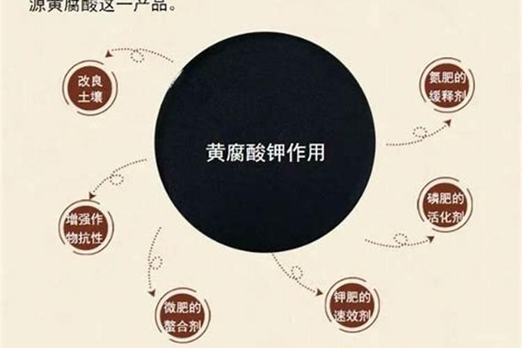 颗粒硼肥对花生功效与作用