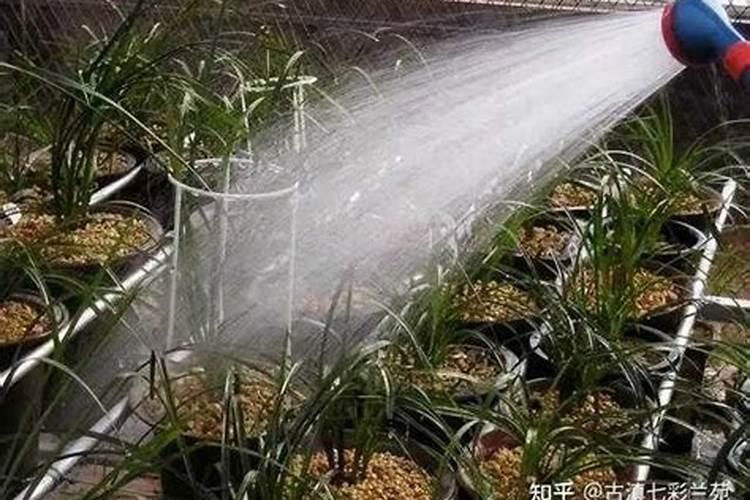 河南广地农业高科技有限公司的主要产品是什么？