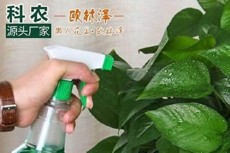 陕西瀚洋惠丰农业科技有限公司生产的颗粒水溶肥追四季豆好吗百度知 ...