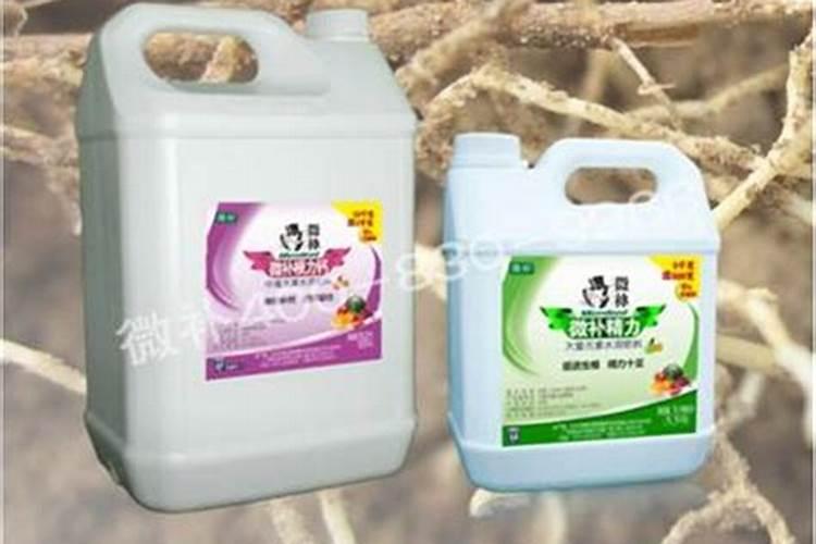 打油菜的颗粒包是什么