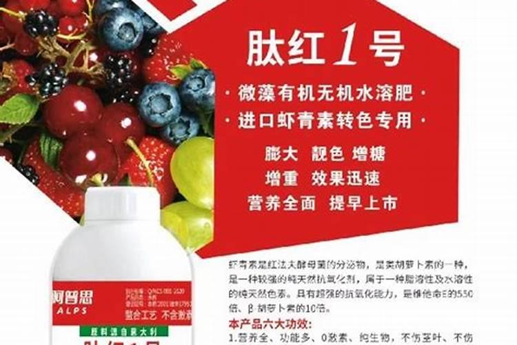 保护地茄子怎样进行肥水管理？