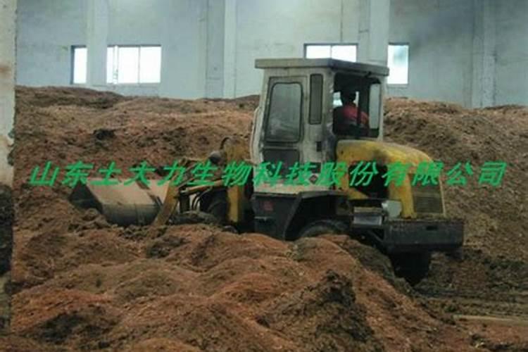 卵生又分为身体分节和什么动物