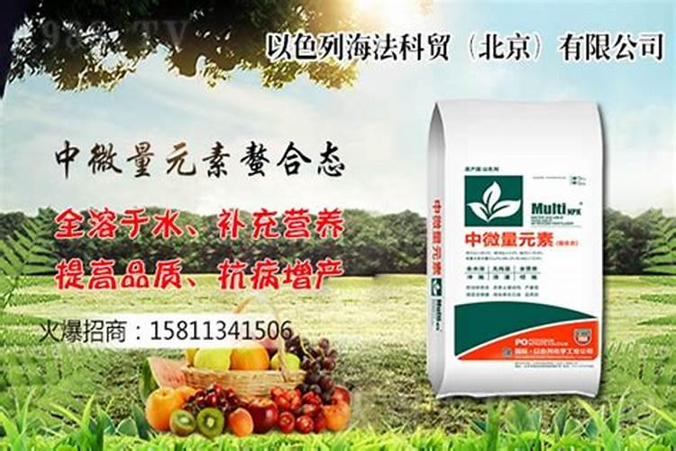 中微量元素肥料有哪些