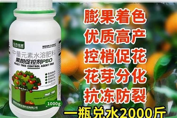 聚宝是什么意思？