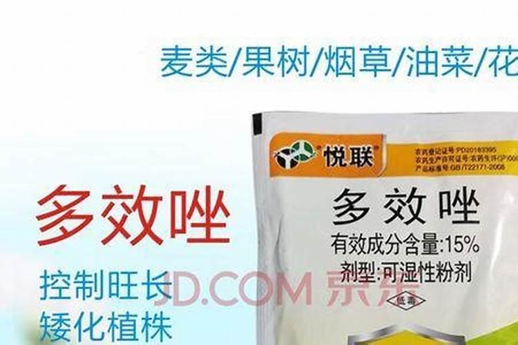 多效唑可以和叶面肥混用吗？ 30%已唑·醚菌酯 白粉病、锈病专业克星百 ...