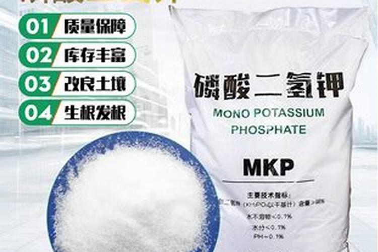 龟背竹能浇磷酸二氢钾吗