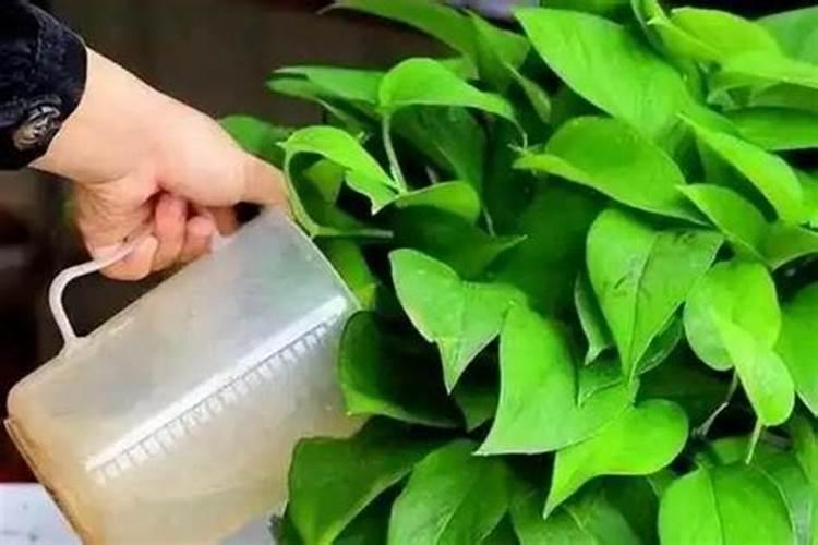 如何提高种子发芽率