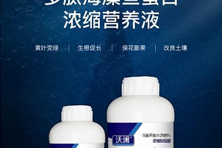 郁金香切花水培生产方法有哪些 郁金香养殖方法