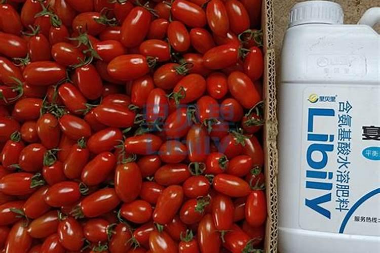 北京绿可欣产品可靠吗